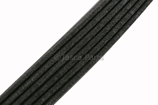 12639280 - : V-Ribbed Serpentine Belt for GM Image