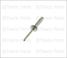 11516936 - Body: Holder Rivet for Buick: Lucerne | Cadillac: CT4, CTS, DTS, Escalade, Escalade ESV, Escalade EXT, STS | Chevrolet: Classic, Malibu | GMC: Sierra 2500 HD, Sierra 3500 HD | Oldsmobile: Cutlass Image