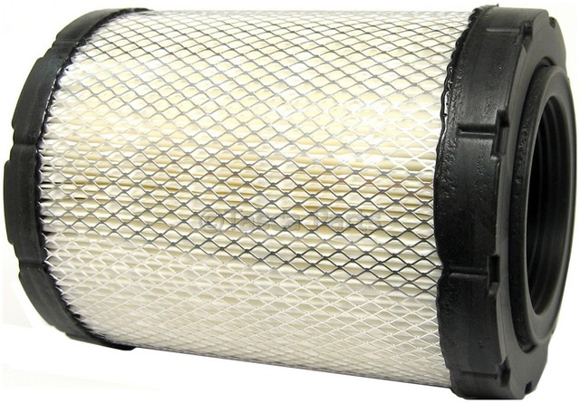 19239713 - Engine: Filter for Buick: Rainier | Chevrolet: Cobalt, SSR, Trailblazer, Trailblazer EXT | GMC: Envoy, Envoy XL, Envoy XUV | Oldsmobile: Bravada | Saturn: Ion Image