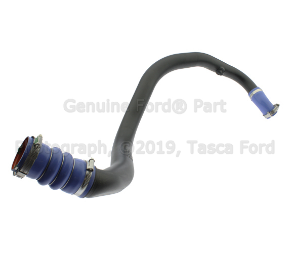 FL3Z6C646A - Cooling System: Lower Hose for Ford: F-150 Image