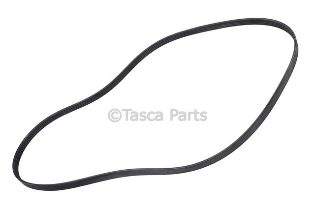 12627134 - : V-Ribbed Serpentine Belt for GM Image