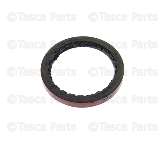 あ1219　8点 23961728 V-Ribbed Belt | General Diesel Repair & Chrome
