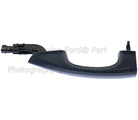 JR3Z6322405AAPTM - Body: Handle, Outside for Ford: Mustang Image