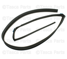 20789461 - Body: Drip Weather-strip for GM Image