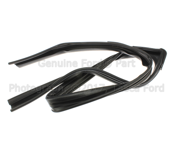 8S4Z5421597C - Body: Run Weather-strip for Ford: Focus Image