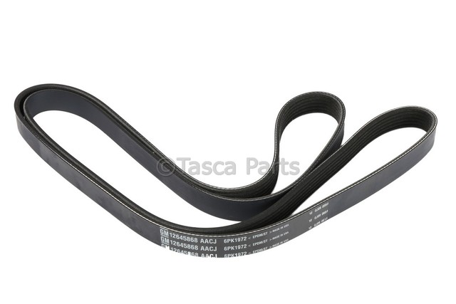 12645868 - : V-Ribbed Serpentine Belt for GM Image