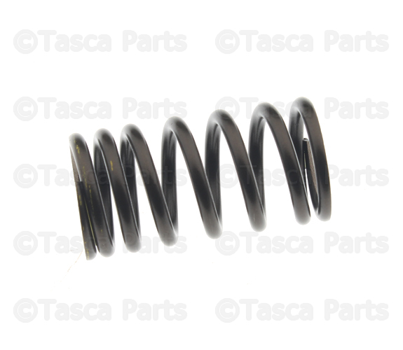132039E000 - Engine: Valve Springs for Nissan Image
