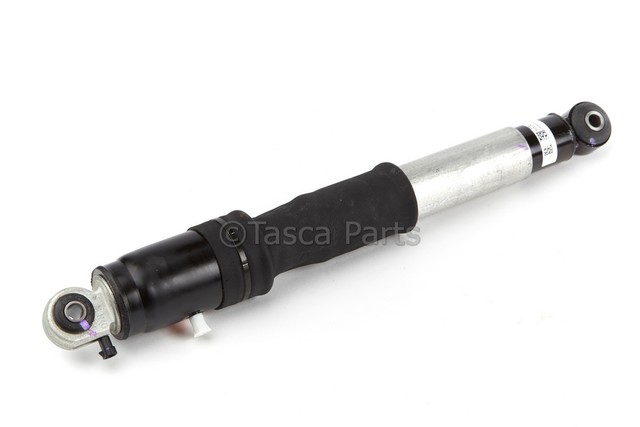 19368460 - Suspension: Shock Absorber for GM Image