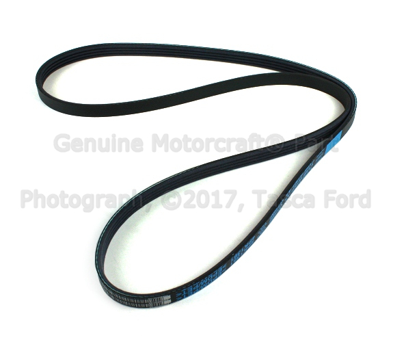 CV6Z8620E - : Serpentine Belt for Ford Image