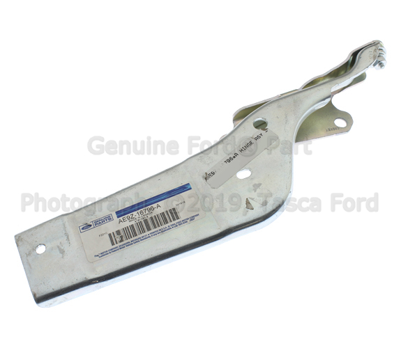 AE9Z16796A - Body: Hinge for Ford Image