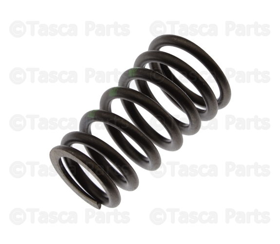 31359507 - Engine: Valve Springs for Volvo Image