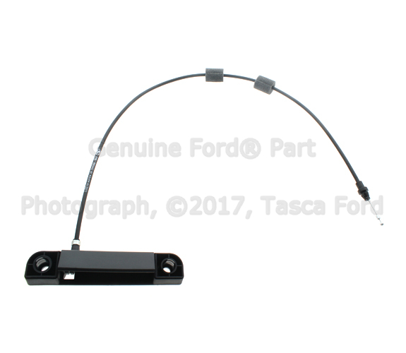 8T1Z6122667B - Body: Handle, Inside for Ford: Transit Connect Image