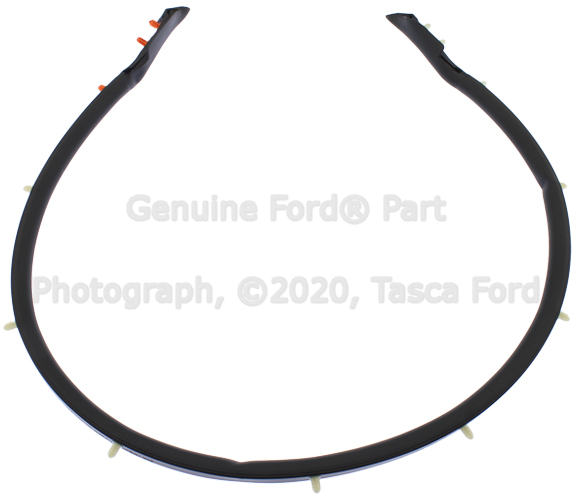 FR3Z16A238C - Body: Front Seal for Ford: Mustang Image