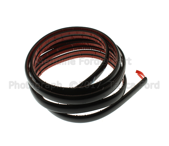 YW7Z17C829AA - Body: Cover Molding for Ford Image