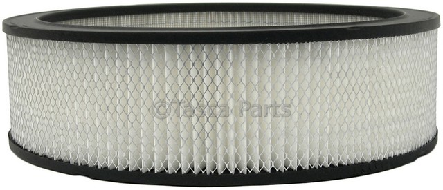8997189 - : Air Filter for GM Image