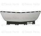 10364296 - : Lower Grille for GM Image