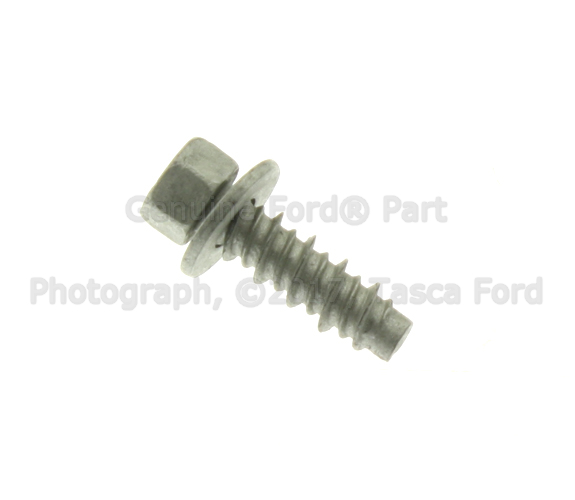 N808955S439 - Electrical: Tail Lamp Assembly Screw for Ford: Explorer, F-150, F-150 Lightning, F-250 Super Duty, F-350 Super Duty, F-450 Super Duty | Mercury: Mountaineer Image