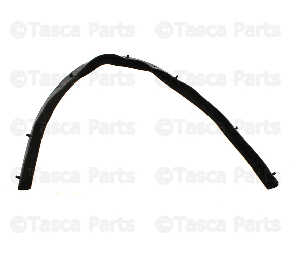 65810EA500 - Body: Rubber Strip for Nissan Image