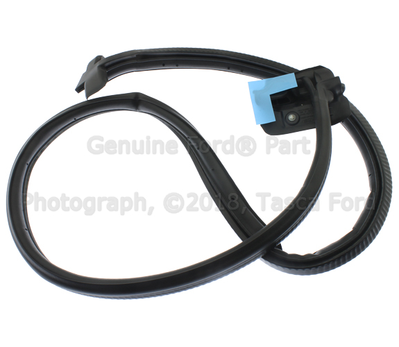 CK4Z1525325F - Body: Door Seal for Ford Image