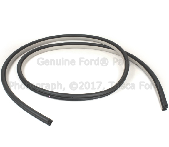 6H6Z5420708AA - Body: Weather-strip On Body for Ford: Fusion | Lincoln: MKZ, Zephyr | Mercury: Milan Image