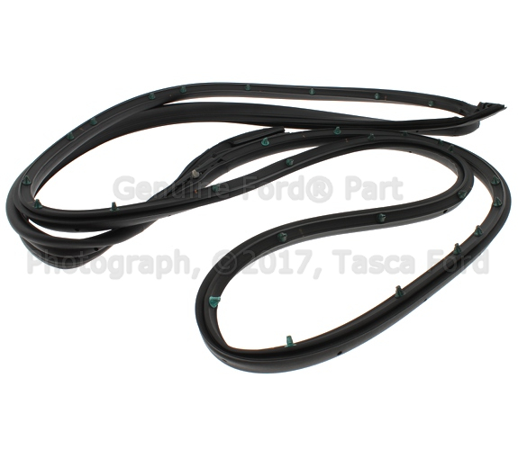 7T4Z7820530A - Body: Door Weather-strip for Ford: Edge | Lincoln: MKX Image