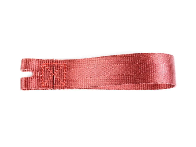 1VL64LR9AA - Interior Trim: Assist Strap for Dodge: Challenger, Charger Image