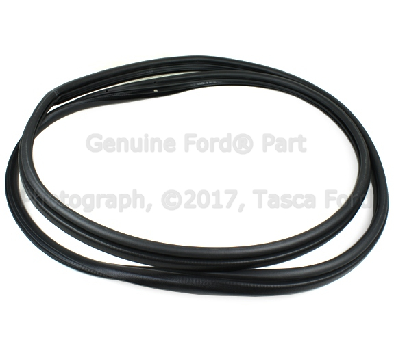 9G1Z5420708B - : Weather-Strip On Body for Ford Image