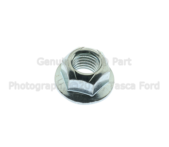 W520103S437 - Body: Bumper Nut for Ford: Escape, Fiesta, Focus, Fusion, Mustang, Mustang Mach-E, Transit Connect Image