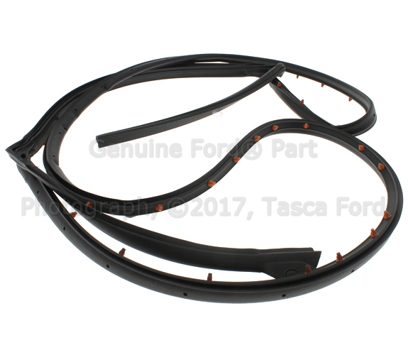 7T4Z7825324A - Body: Door Weather-strip for Ford: Edge | Lincoln: MKX Image