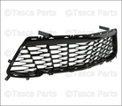 23505817 - : Black Front Lower Grille with Cover for GM Image