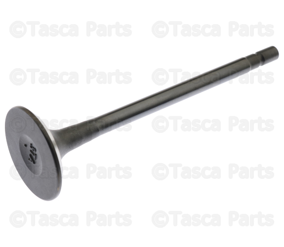 132023TA0A - : Exhaust Valve for Nissan Image