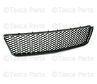 10333712 - Body: Lower Grille for GM Image