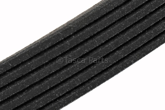 12656798 - : V-Ribbed Serpentine Belt for GM Image
