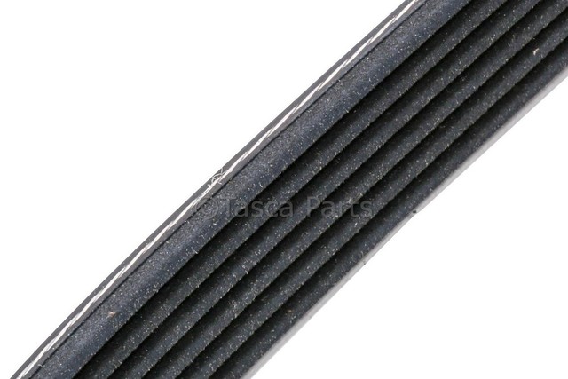 12648981 - Cooling System: Serpentine Belt for GM Image