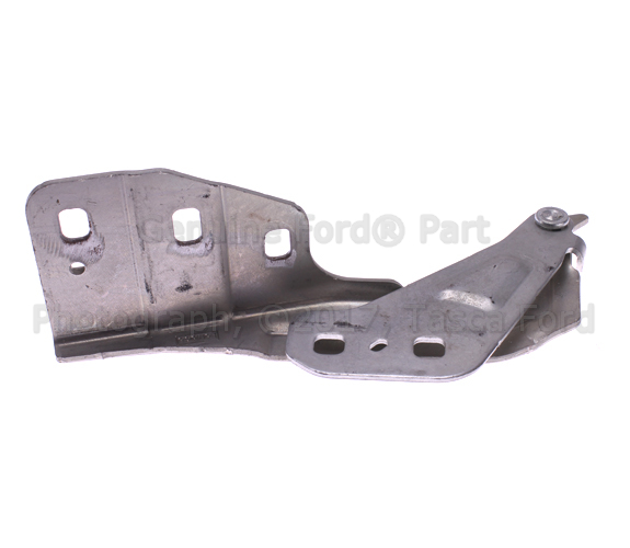 DP5Z16797A - : Hinge - Driver's Side (LH) for Ford Image