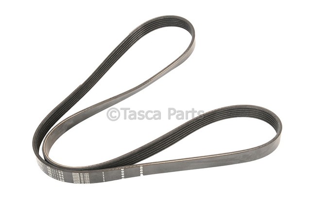 12643218 - : V-Ribbed Serpentine Belt for GM Image
