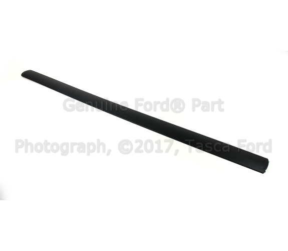 3T1Z6120878AA - Body: Body Side Molding for Ford: Transit Connect Image