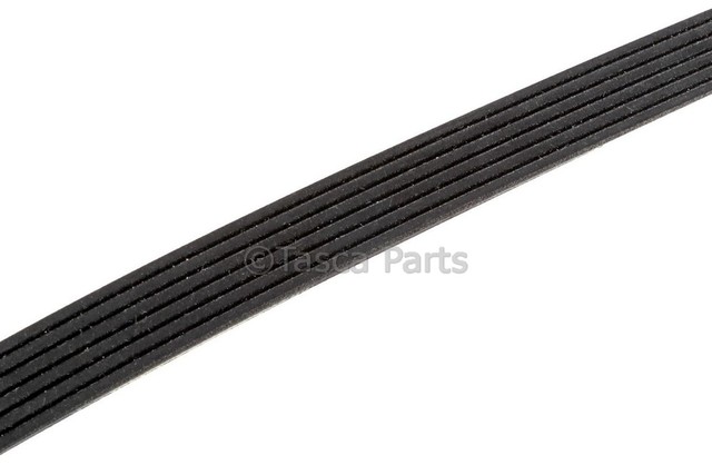 12649156 - : V-Ribbed Serpentine Belt for GM Image
