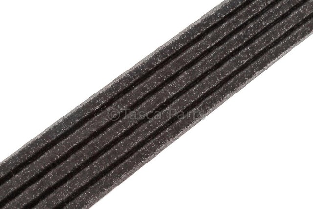 55579905 - : V-Ribbed Serpentine Belt for GM Image