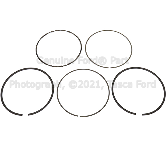 ビタレバン　6本　④ Original Truck Parts V-Belt Ribbed 10pk1643 612600061464