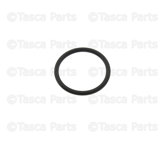21049AE000 - Cooling System: Connector Pipe O-Ring for Nissan: 350Z, 370Z, Armada, Frontier, GT-R, NV2500, NV3500, Pathfinder, Pathfinder Armada, Rogue, Rogue Select, TITAN, TITAN XD, Xterra Image