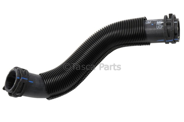 15057982 - : Lower Hose for GM Image