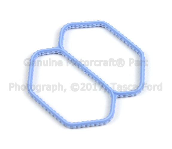 XF2Z9F670AA - : Fuel Injection Idle Air Control Valve Gasket for Ford: Escape, Explorer, Explorer Sport, Explorer Sport Trac, F-150, F-150 Heritage, Freestar, Ranger, Taurus, Windstar | Mercury: Mariner, Monterey, Mountaineer, Sable Image