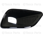 68287994AB - : Lamp Cover - Passenger Side (RH) for Mopar Image