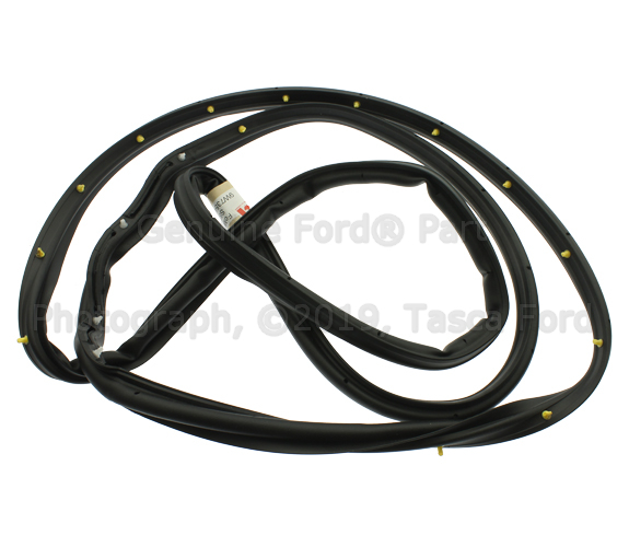 XW7Z5420531AA - Body: Door Weather-strip for Ford: Crown Victoria | Mercury: Grand Marquis, Marauder Image