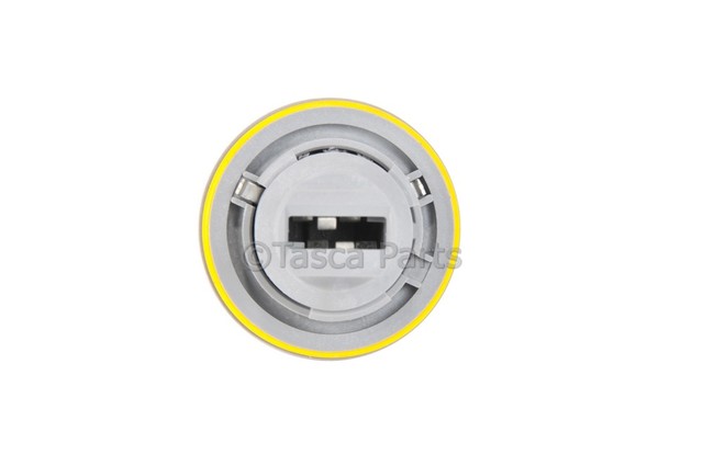 23507119 - Electrical: Signal Bulb Socket for GM Image