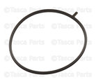 161751LA0A - Fuel System: Gasket for Nissan: Armada, NV2500, NV3500, TITAN, TITAN XD Image