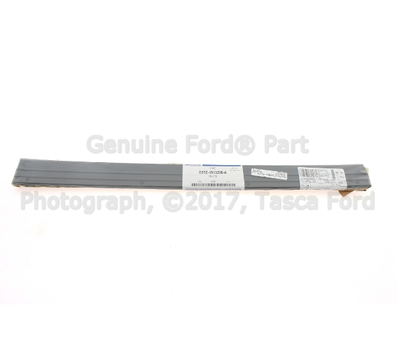E9TZ1513208A - Body: Front Sill Plate for Ford: Bronco, F-150, F-250, F-250 HD, F-350, F-Super Duty Image