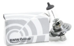 63217160781 - Electrical: Low Beam Bulb for BMW Image