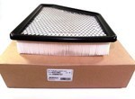 23335811 - : Part# 23335811 Air Filter for Chevrolet: Equinox | GMC: Terrain Image